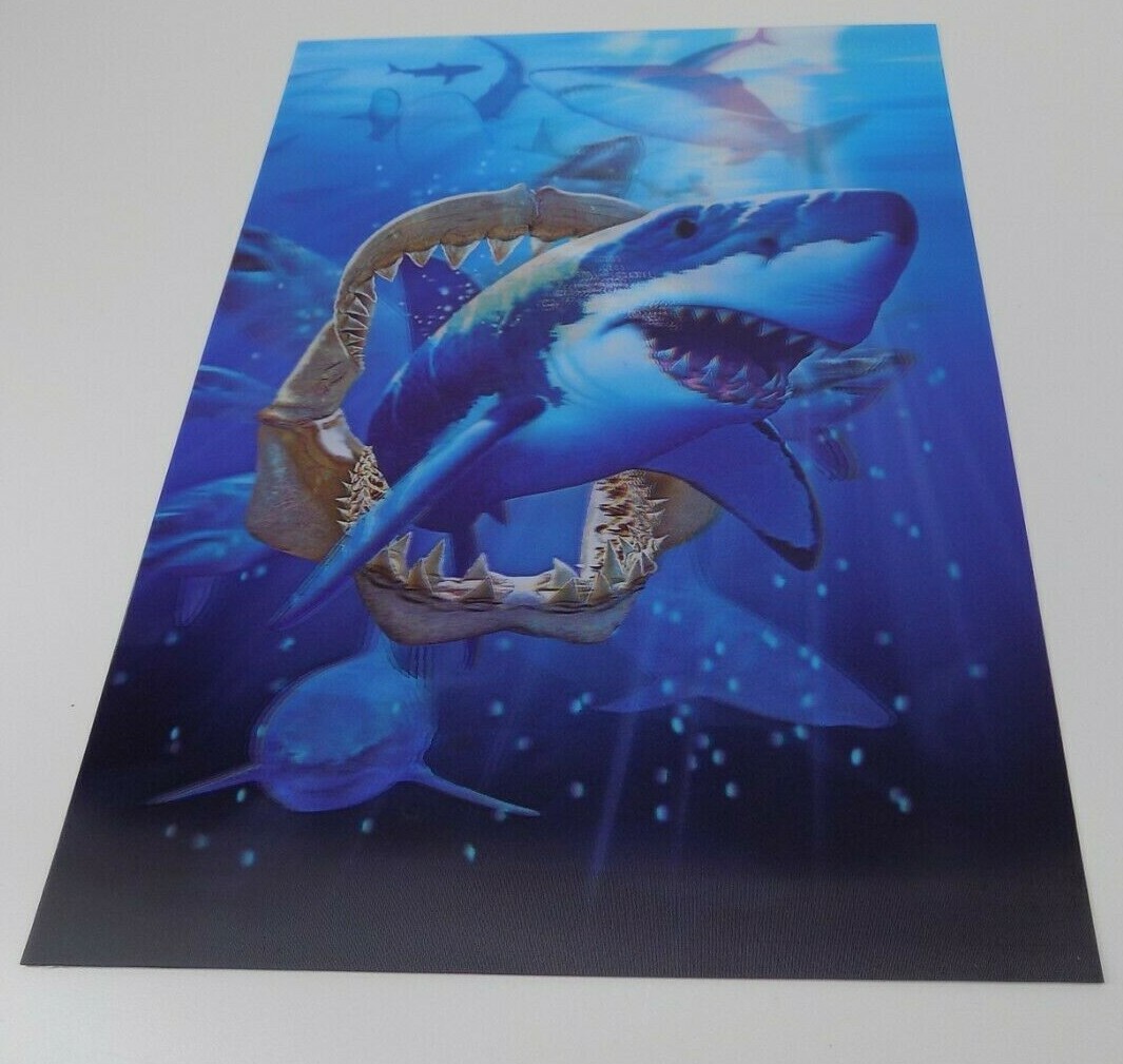 2-image, Lenticular (3D) Lentograph Shark Print 13 3/4" X 9 3/4", excellent