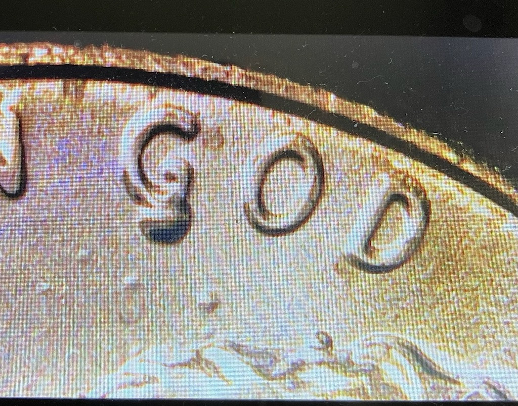 2024 BU Lincoln Shield Error Pennies Struck Through Grease,Plating Bubbles