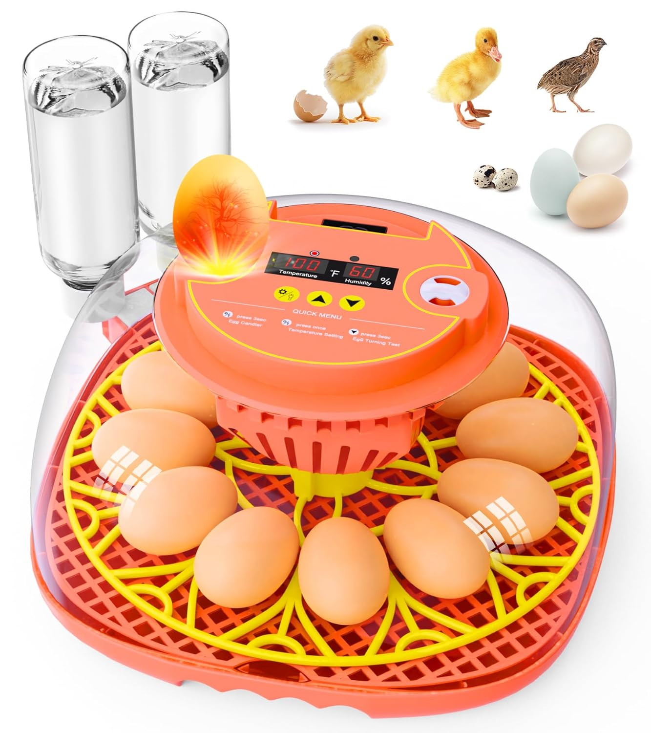 12 Egg Incubator for Hatching Eggs, Smart Temperature and Humidity Control, Auto