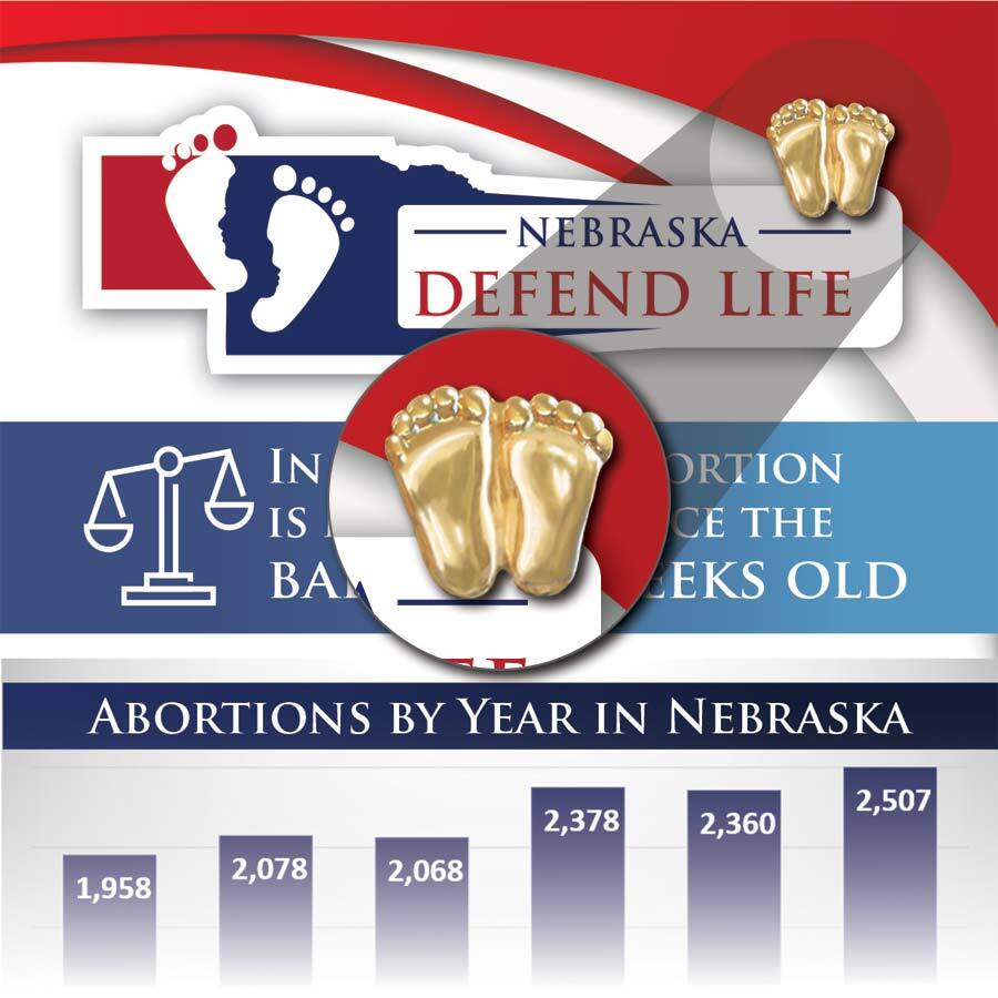 Precious Feet, Gold-Colored, Nebraska Stats Card Jewelry, Lapel Pin