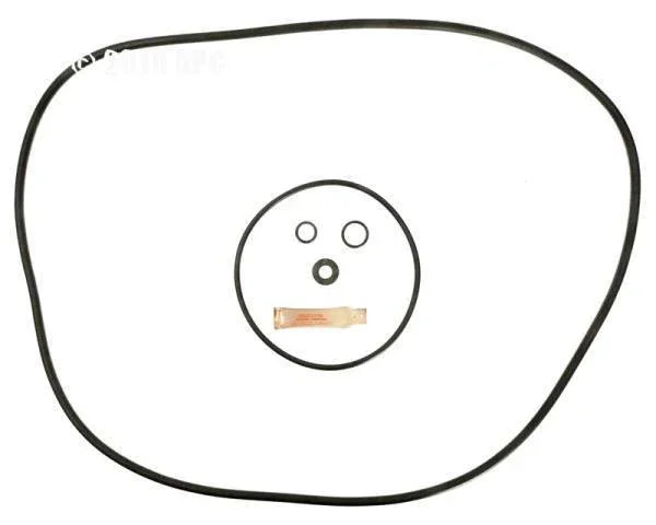 O-Ring & Gasket Kit