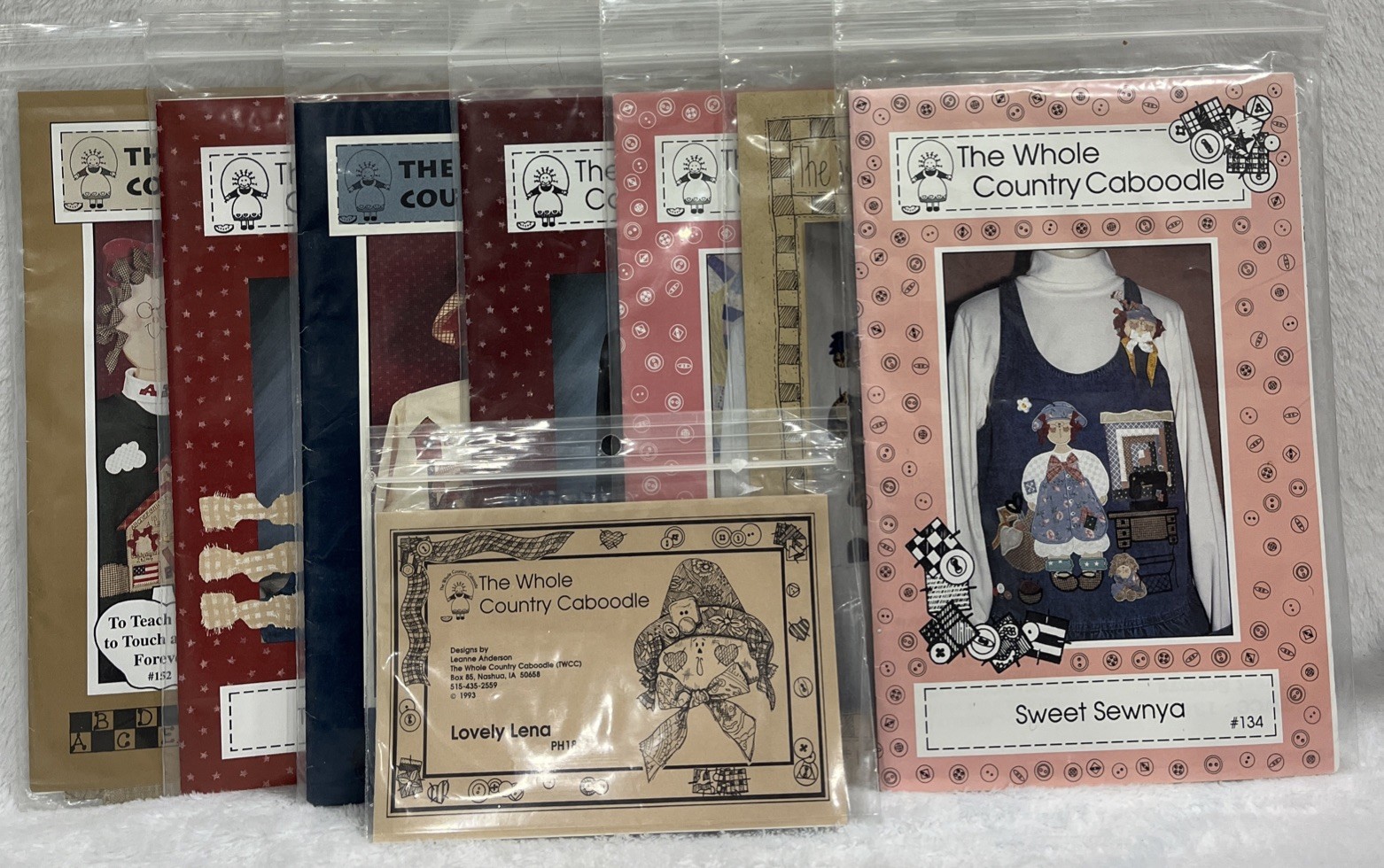 The Whole Country Caboodle Appliqué Lot of 8