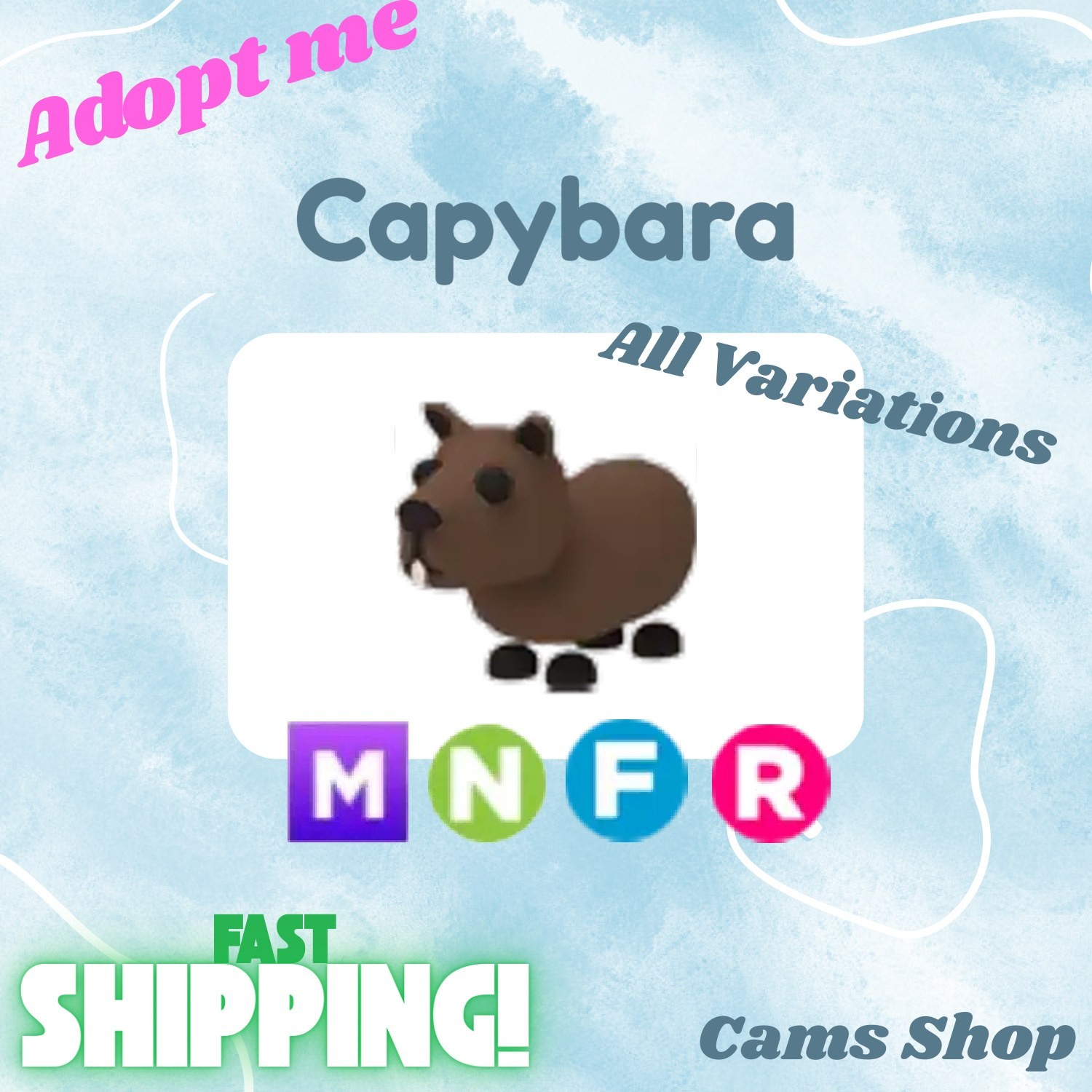 Capybara | All Variations No Pot, FR, NFR, Mega, MFR - Adopt From Me Pets