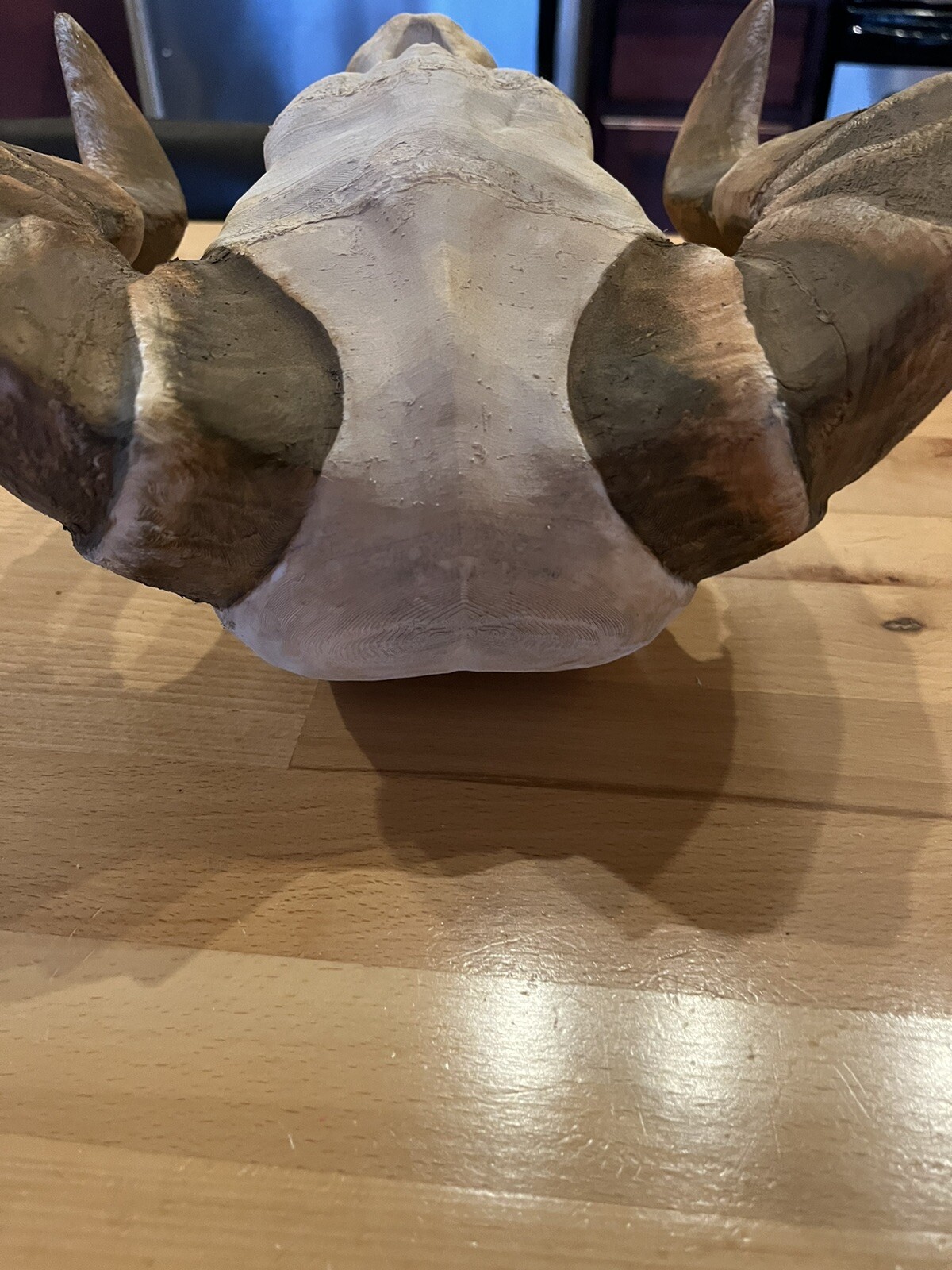 Deathclaw Skull From Fallout Handmade 11” Version