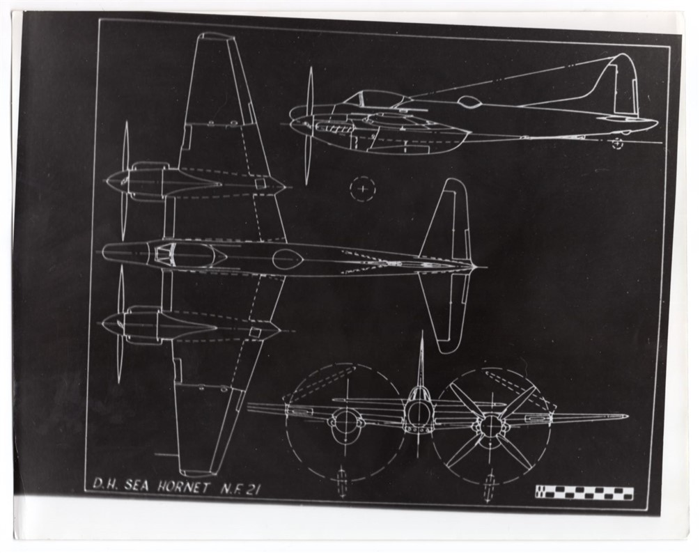 1940s Royal Navy De Havilland Sea Hornet NF.21 Plan Drawing 8x10 Original Photo