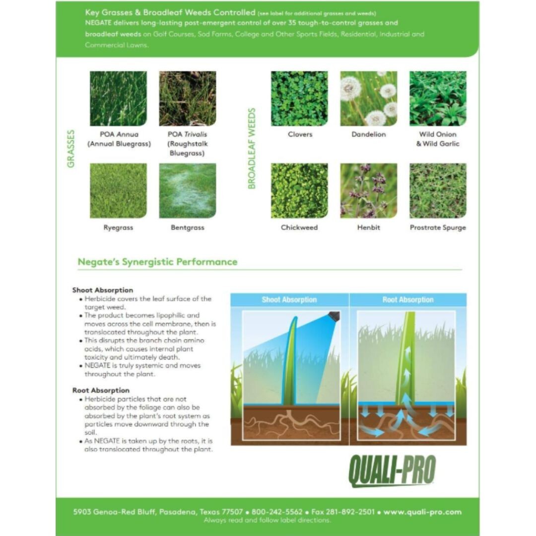 Negate 37WG Herbicide – Powerful, Dual-Action Weed Control for Turfgrass