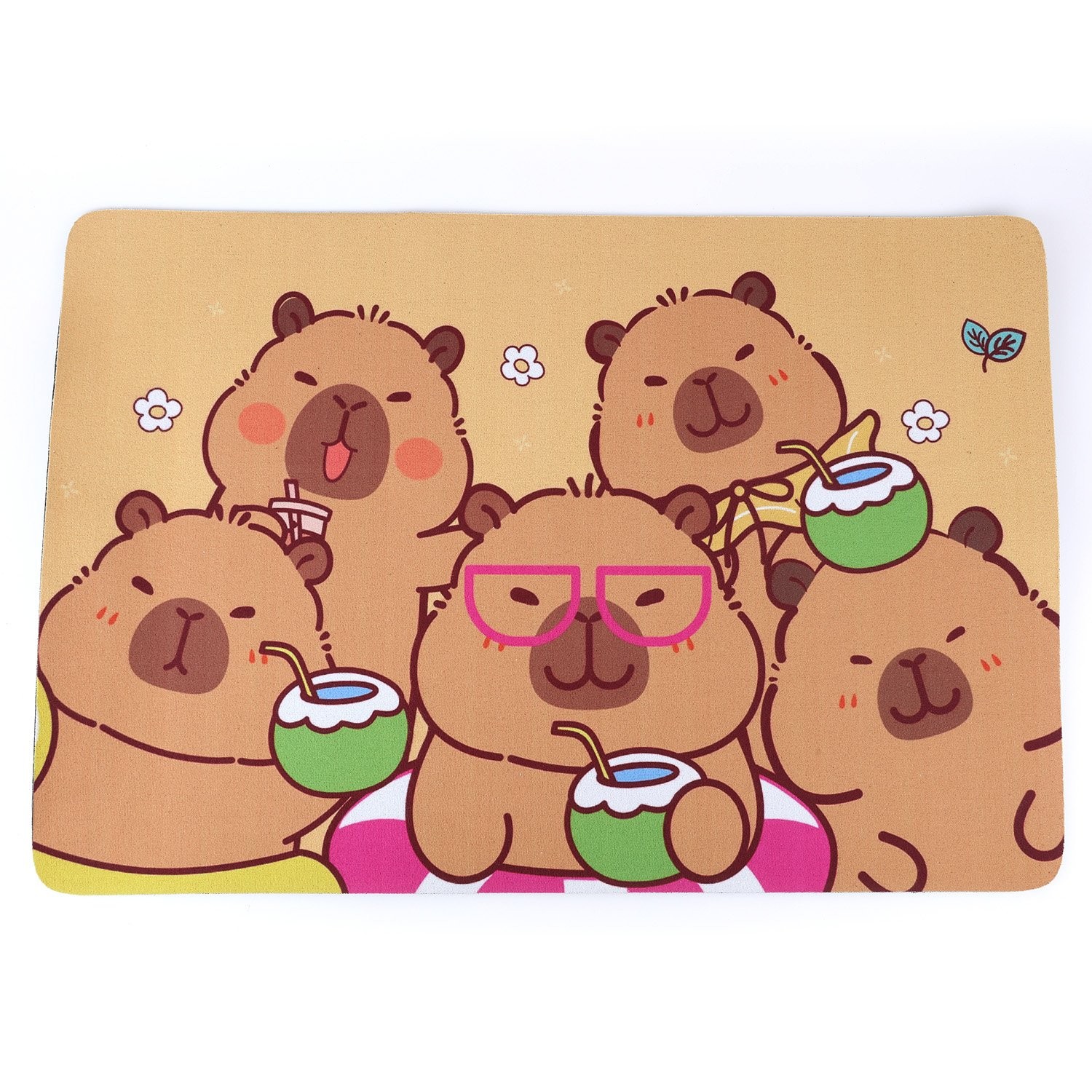 Capybara Floor Mat Non Slip Washable Rug for RV & Camper Bathroom Use - US STOCK