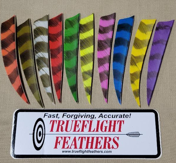 Trueflight 4" Shield Cut LW or RW Feathers - 1 Dozen Barred