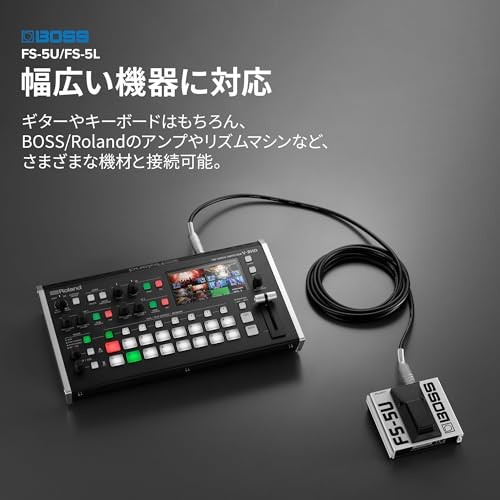 BOSS FS-5L Latching Footswitch for Amplifier/Effects On/Off Control
