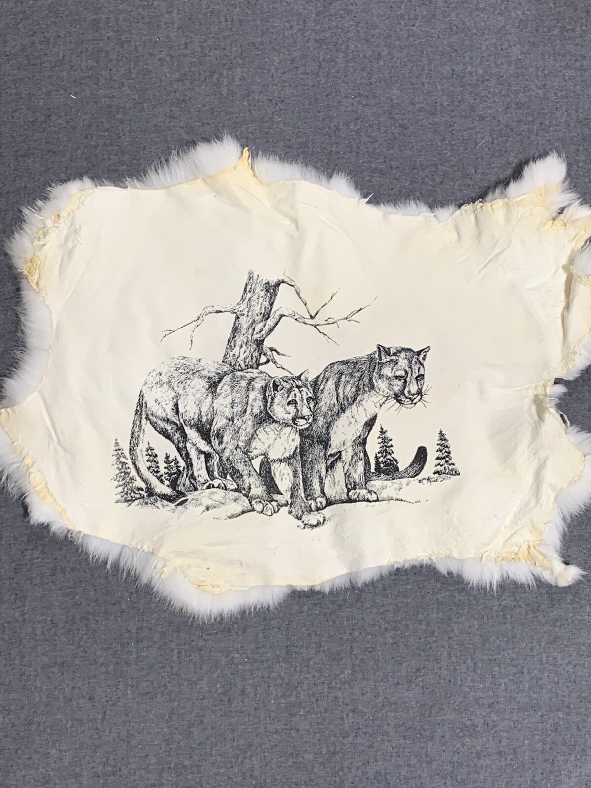 Printed Rabbit Pelt: Cougar