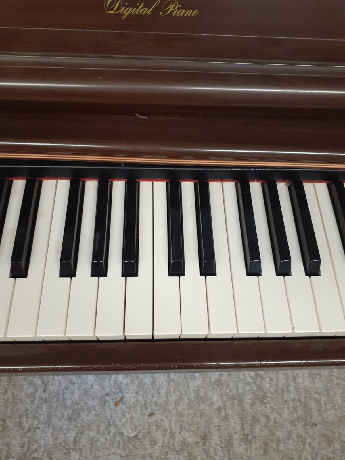 Technics Digital Piano Keys (and weights if desired) - SELLING INDIVIDUALLY !!!
