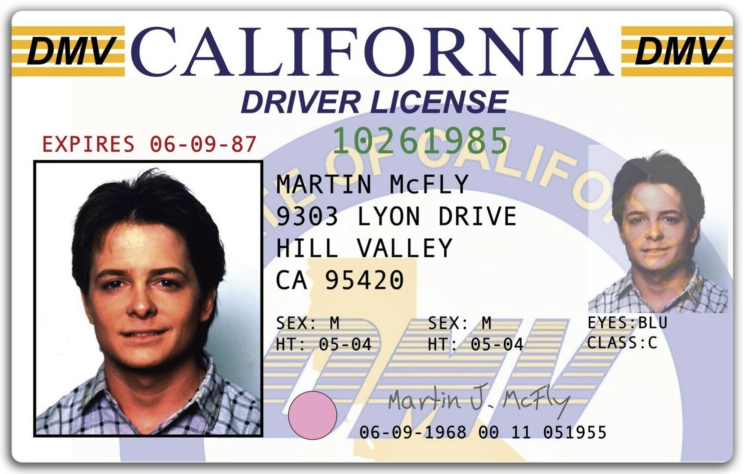 1985 Back To The Future Drivers License Prop Marty McFly Michael J. Fox ⏲