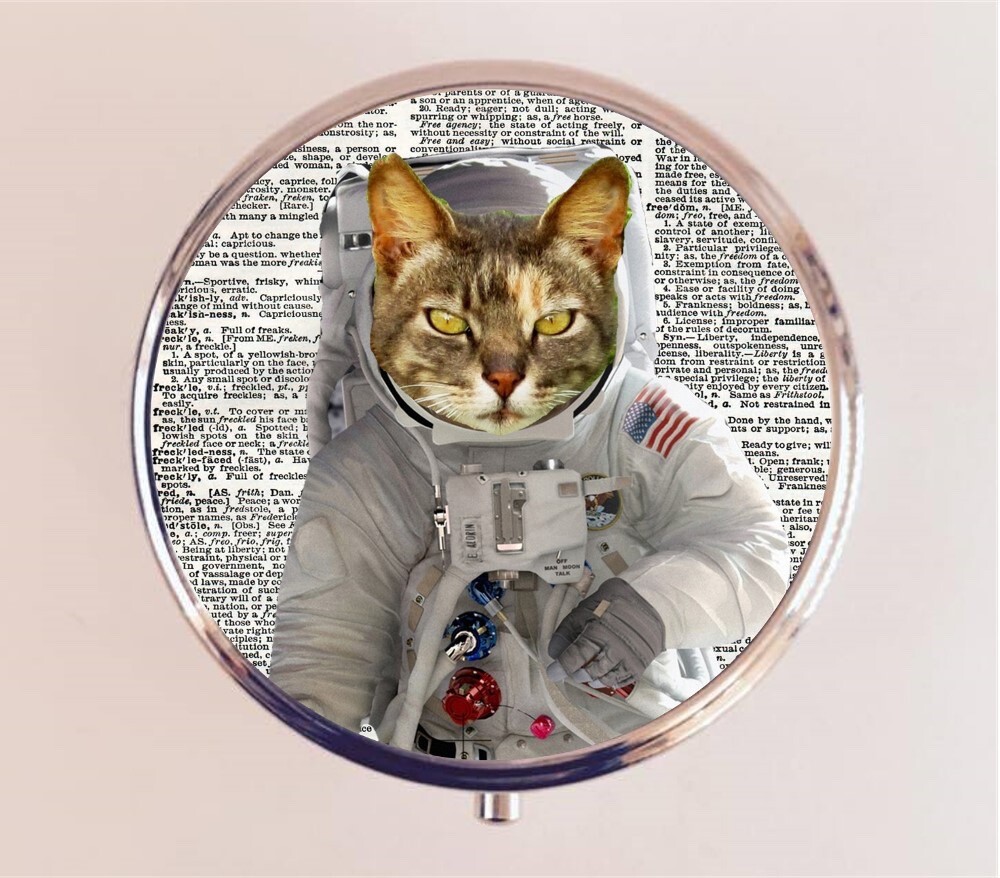 Astronaut Cat Pill Box Case Pillbox Holder Trinket Anthropomorphic Animal
