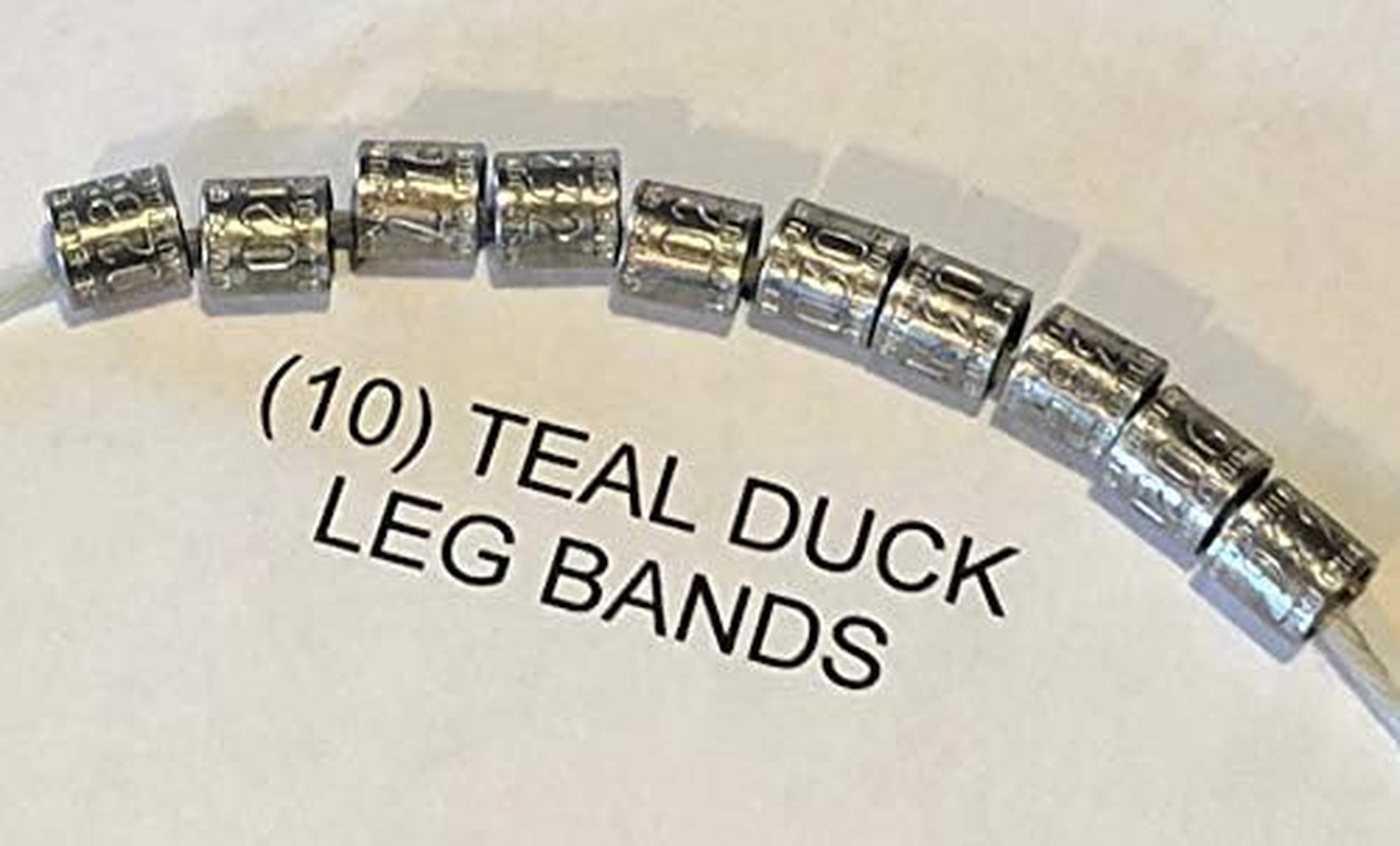 10 (Ten) Teal Duck - Green Wing Teal Size Duck Bands Size 4A with Sticker, Add t