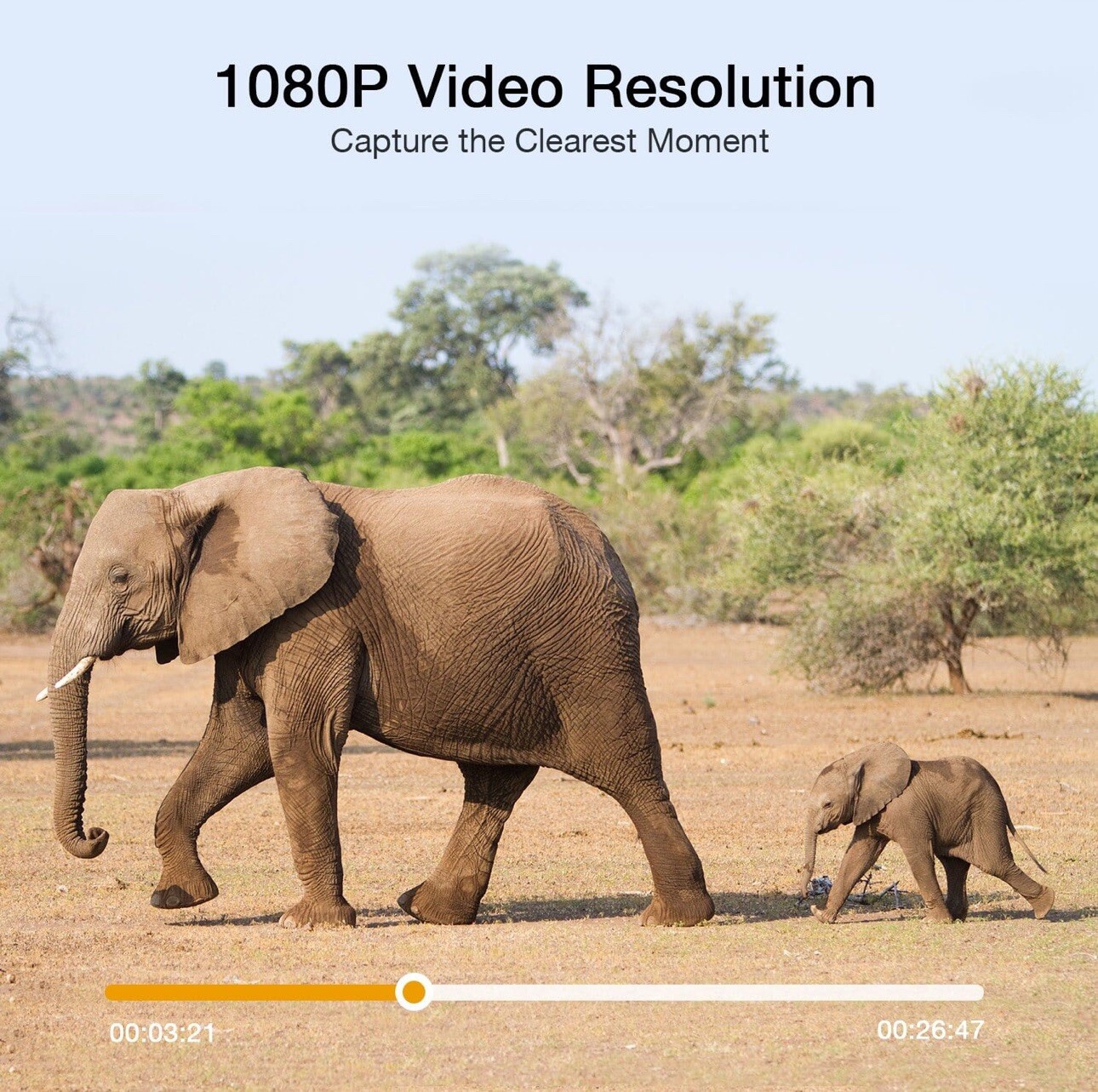 T40A FHD 4K & 42MPTrail Game Camera
