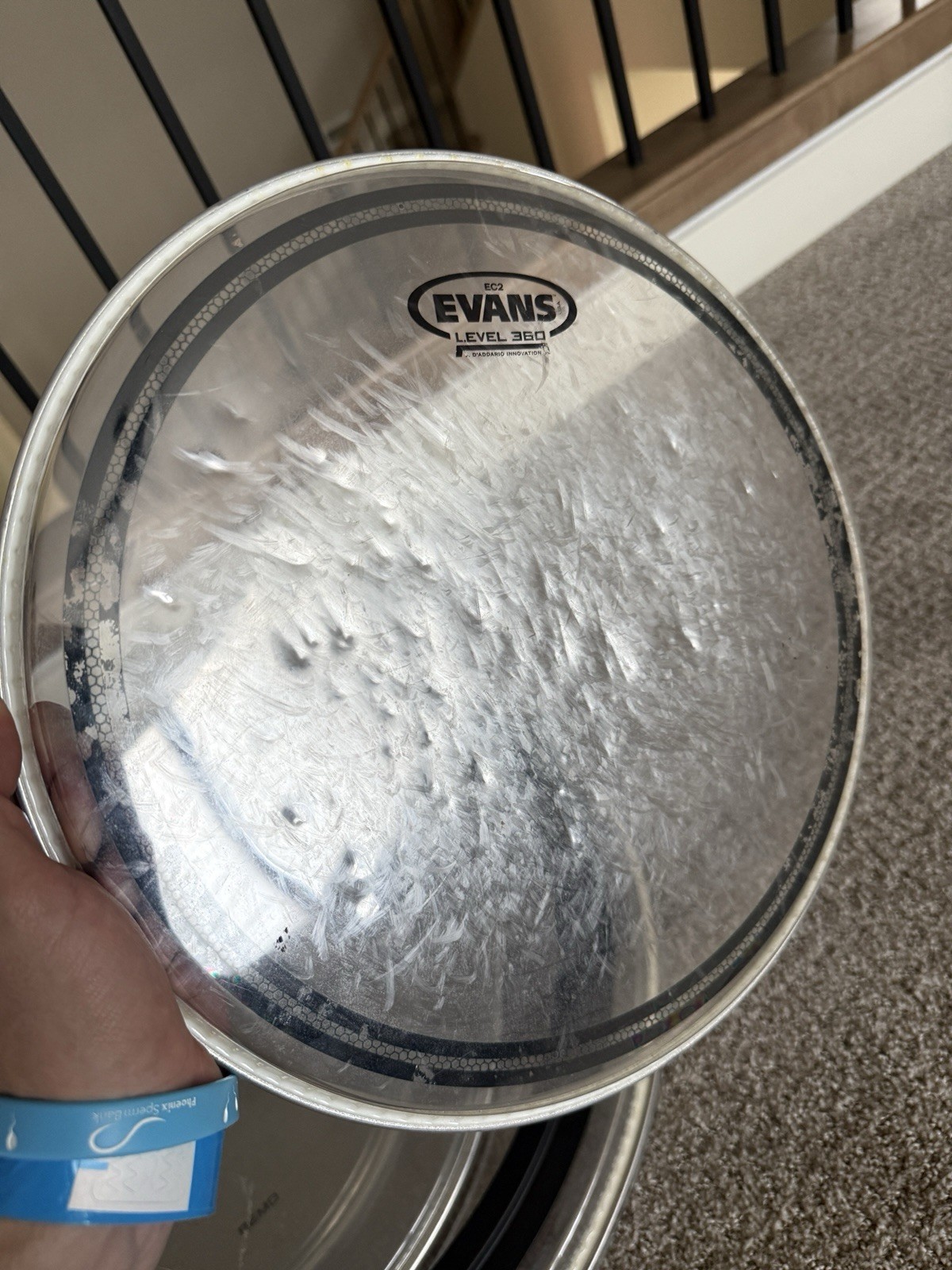 Drum Heads Lot EMAD, Evans, Remo/Mapex