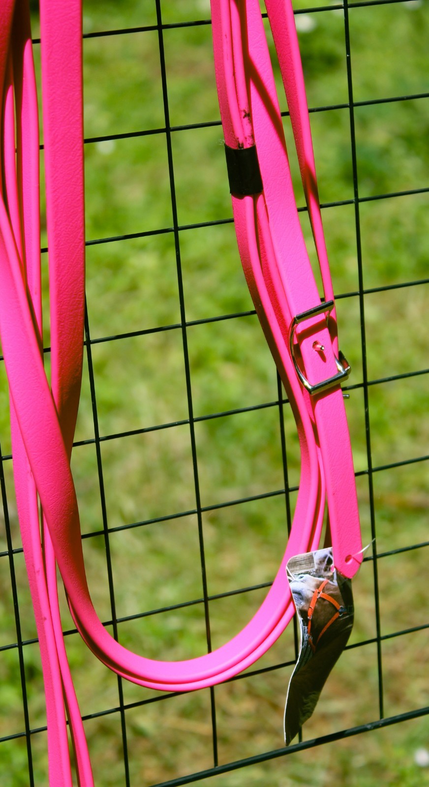 Biothane Split Reins - Hot Pink