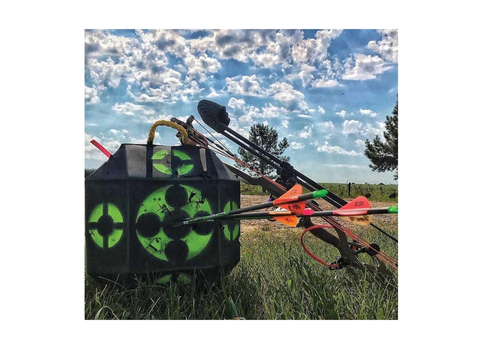 Rinehart 18-1 Archery Target | 18-Sided Multi-Purpose Archery Target | Broadh...