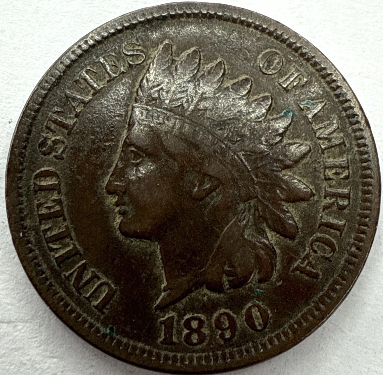 1890 Indian Head Cent Exact Coin Imaged #IND2238