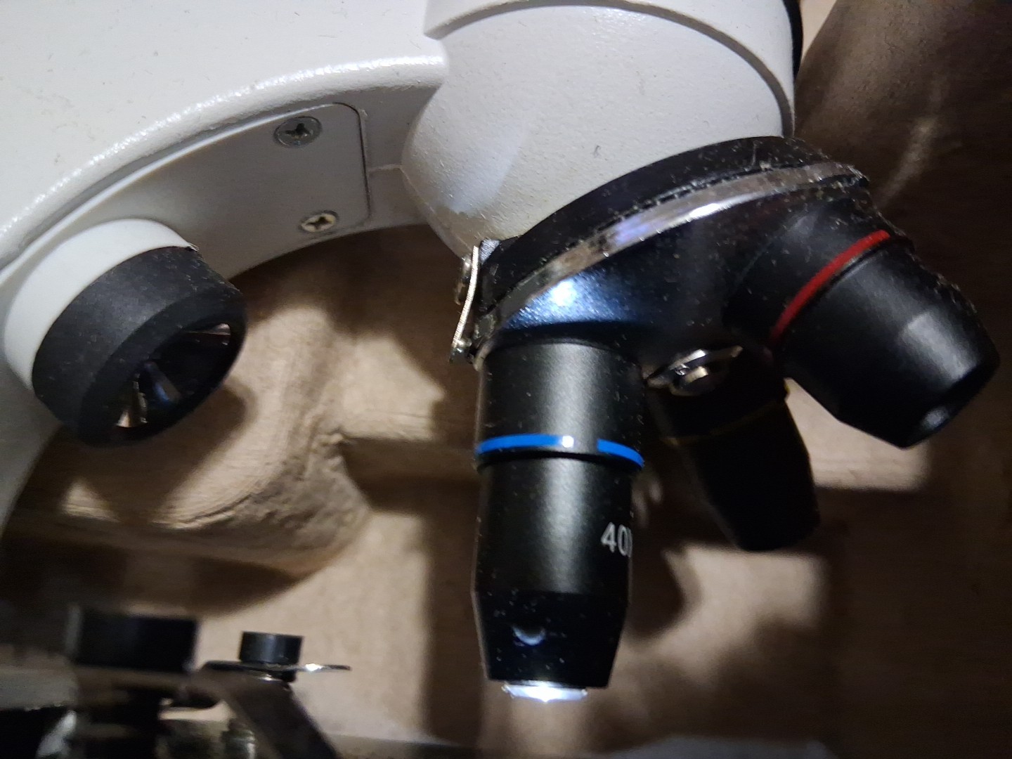 My First Lab Duo-Scope Microscope - MFL-06