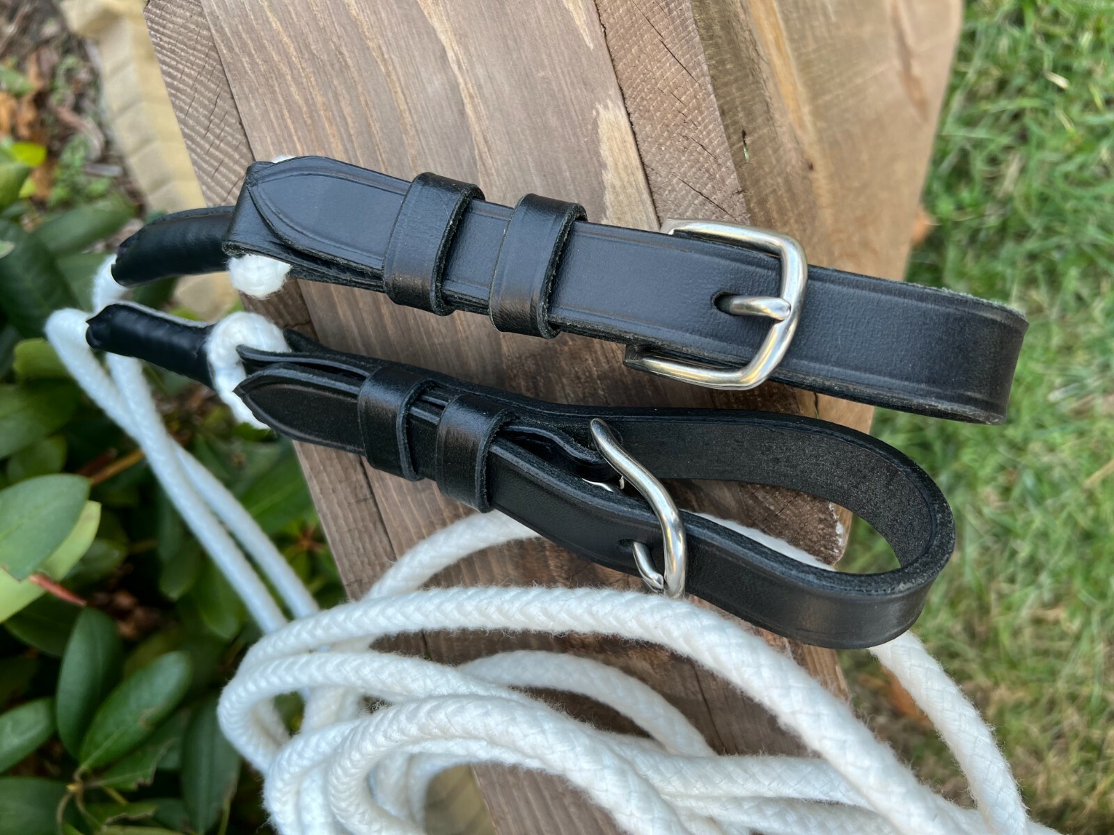 Leaders Training Reins