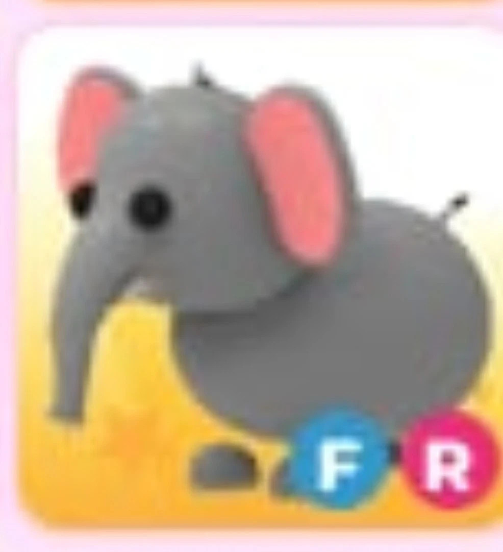 Elephant | Adopt Now