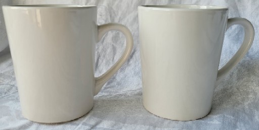 (1) Delaware Young Republicans Coffee Mug