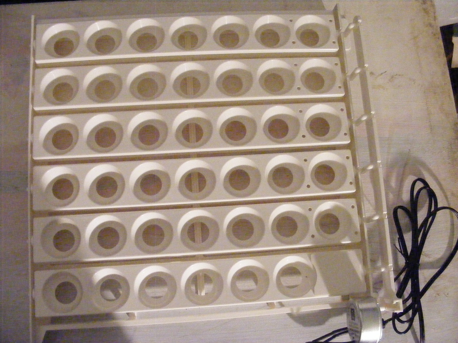 Automatic Chicken Egg Turner for Farm Innovators 4250 Incubator Poultry Hatching