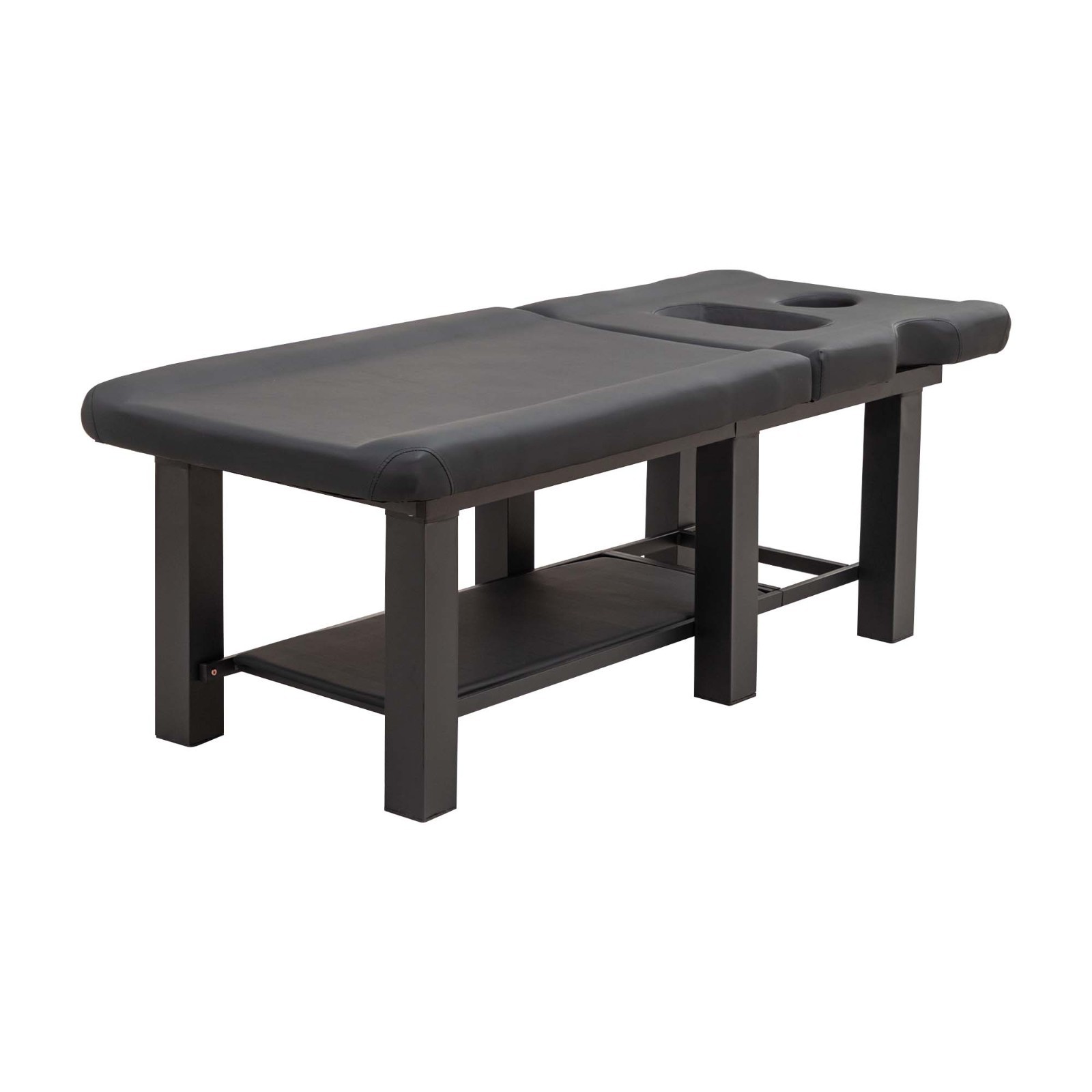Multi-Function Professional Massage Therapy Table, Black