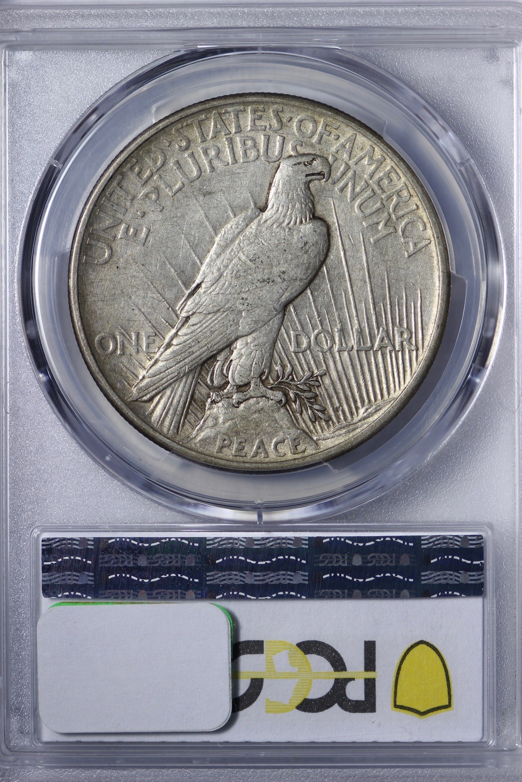 1921 Peace Silver Dollar PCGS XF45 WTKNNS