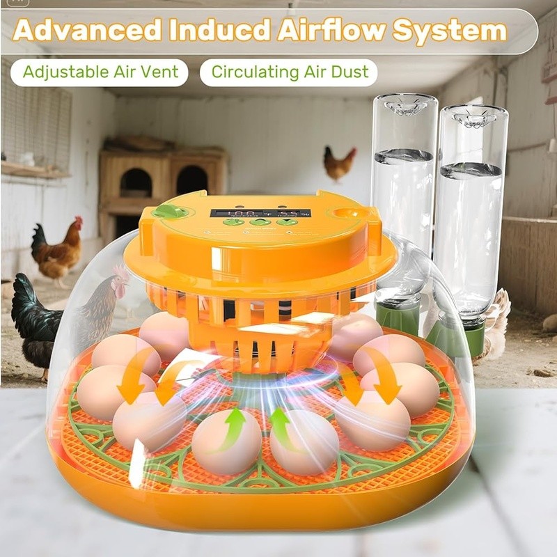 Smart Egg Incubator Automatic Turning Humidity Control 360 Degree Viewing New