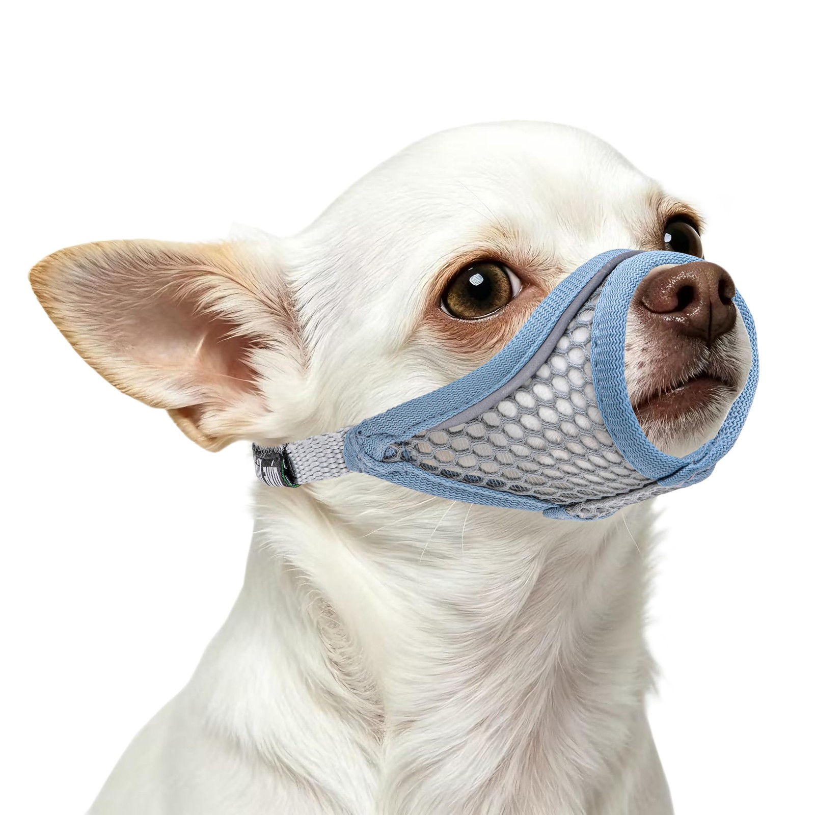 Dog Muzzle for Small Medium Dogs to XS Snout (5.3"- 5.9"), Summer Blue