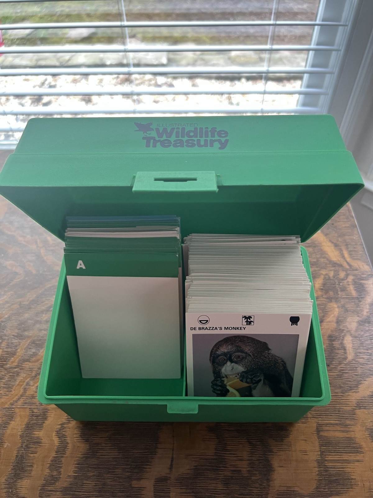 Vintage 1970s Illustrated Wildlife Treasury Animal Cards Dividers + Green Case