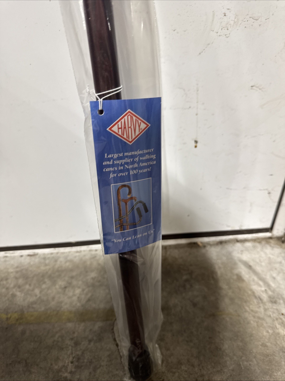 Harvy Cane