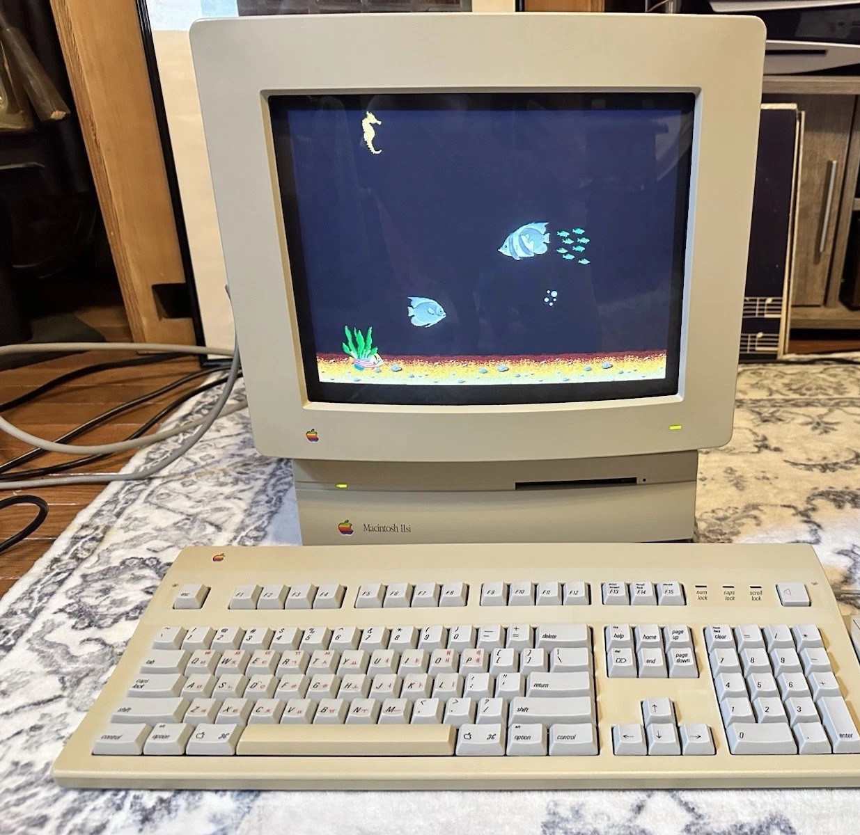 Apple Macintosh IIsi Computer Complete System With Monitor, Keyboard, Mouse