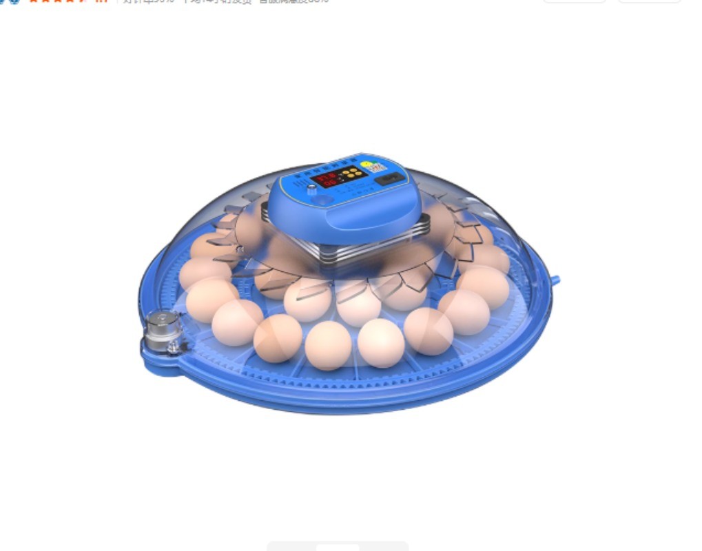 Small Home Mini Incubator Intelligent Fully Automatic Bird Egg Incubator Box