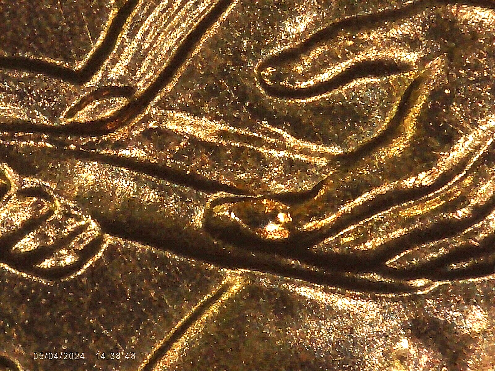 2009 P BU FY DOUBLED DIE REVERSE ERROR WDDR-033