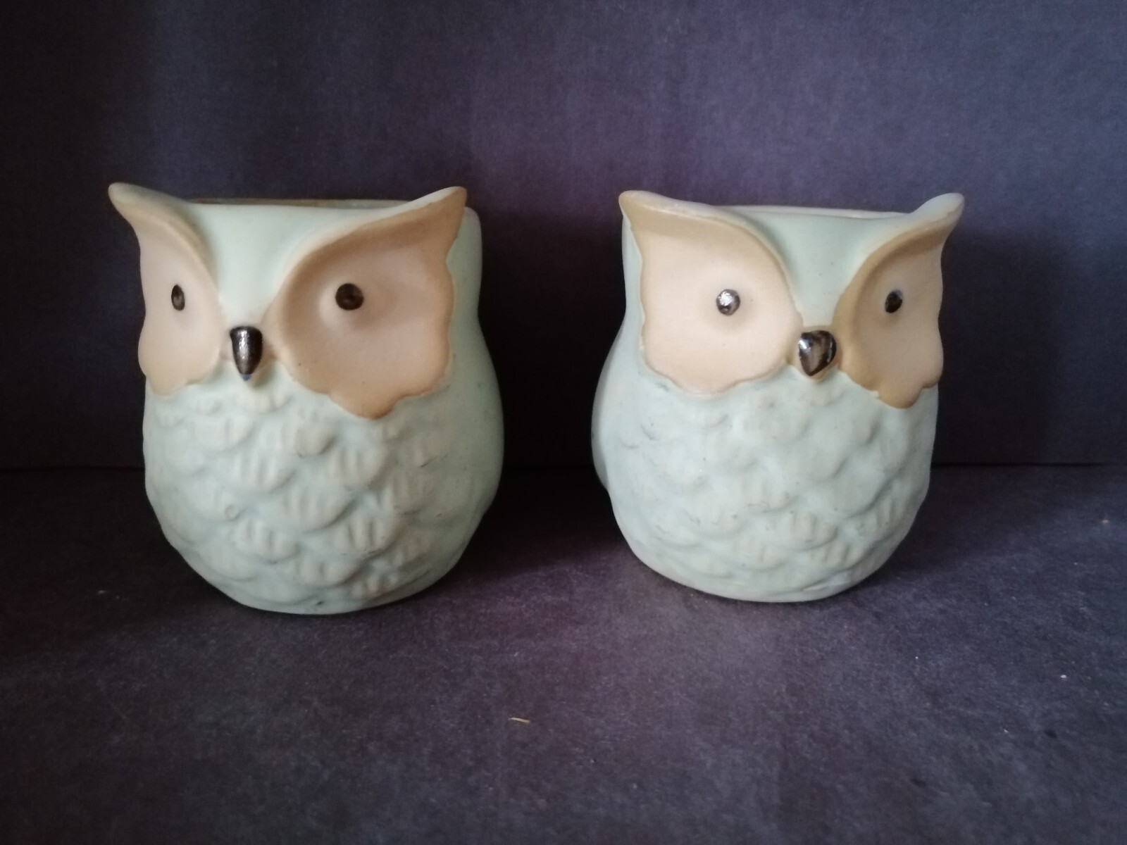 Set of 2 Mini Owl Ceramic Succulent Plant Pots Desktop Decorations