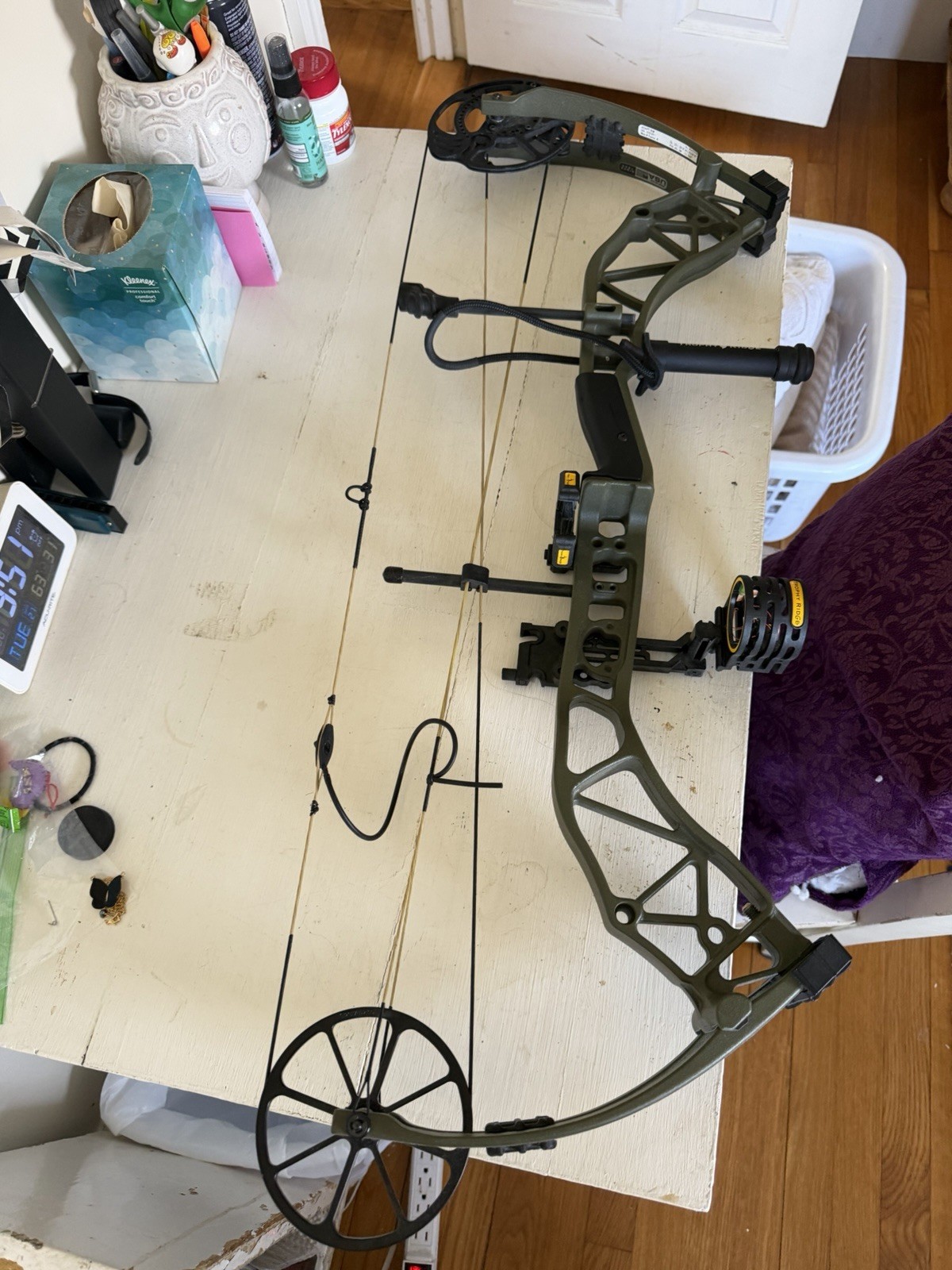 Bear Compound Bow Adapt 3351971