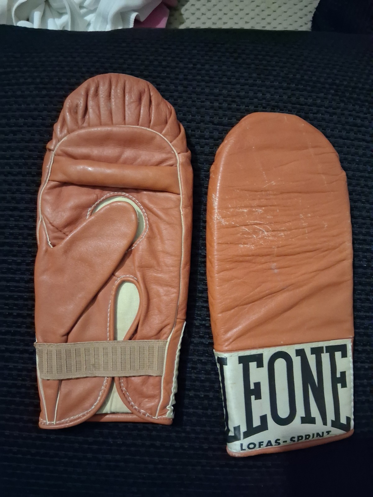 Vintage Lion Gloves