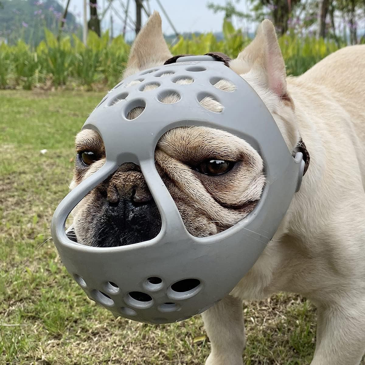 Short Snout Dog Muzzle, Soft Silicone, Flat Faced, for French Bulldog, Shih Tzu