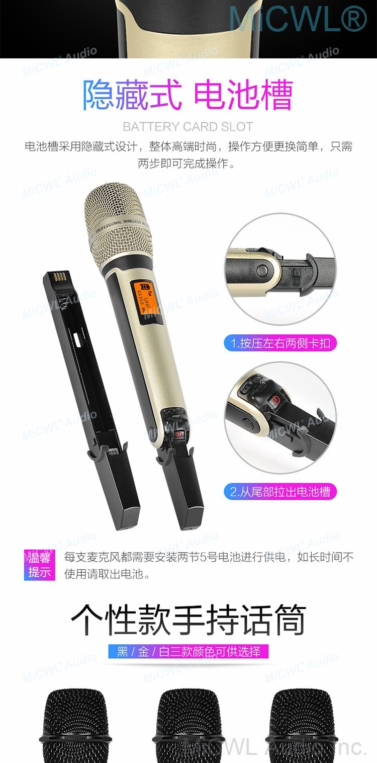 Pro UR24D Digital Wireless Microphone 2 SKM9000 Mic DJ Karaoke UHF System