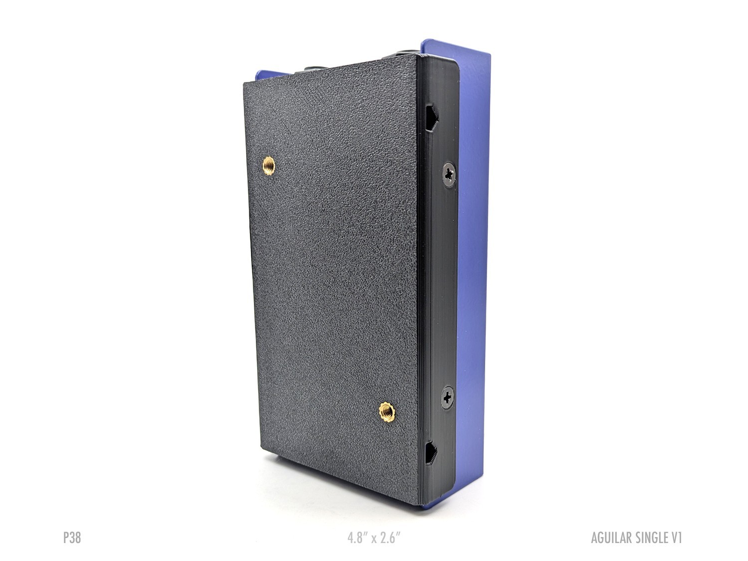 Aguilar Single MK I – Pedal Plate (Temple Audio, Hook & Loop, Zip-Ties)