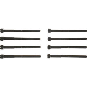Stretch Head Bolt Set  Victor Reinz  GS33480A