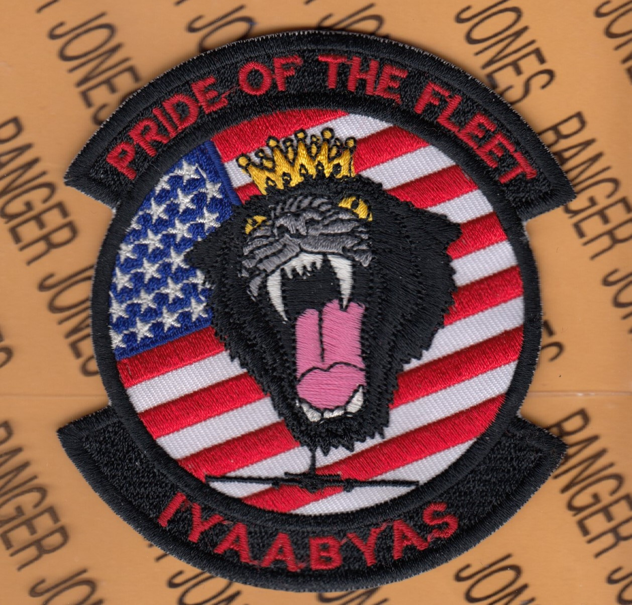 USAF Air Force 99th Reconnaissance Sq RS U-2 IYAABYAS ~3.75" patch c/e