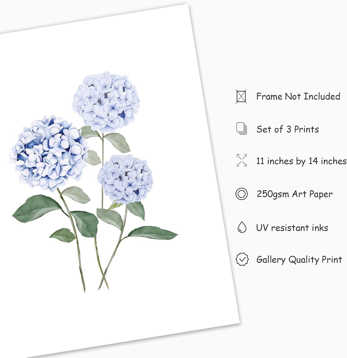 JarThenaAMCS 3Pcs Hydrangea Floral Wall Art Prints