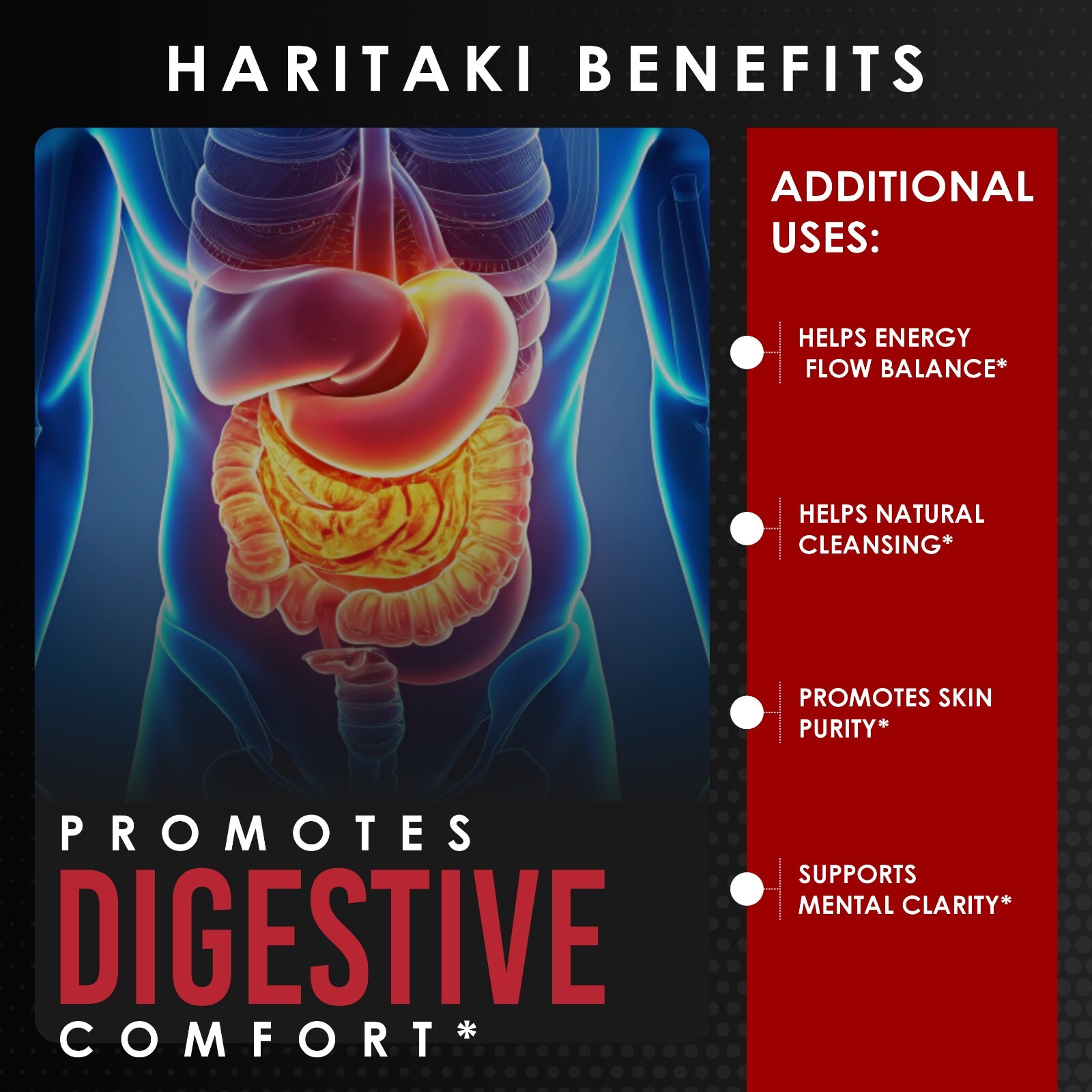 Haritaki Powder ( Terminalia chebula Retz ) 120 Capsules