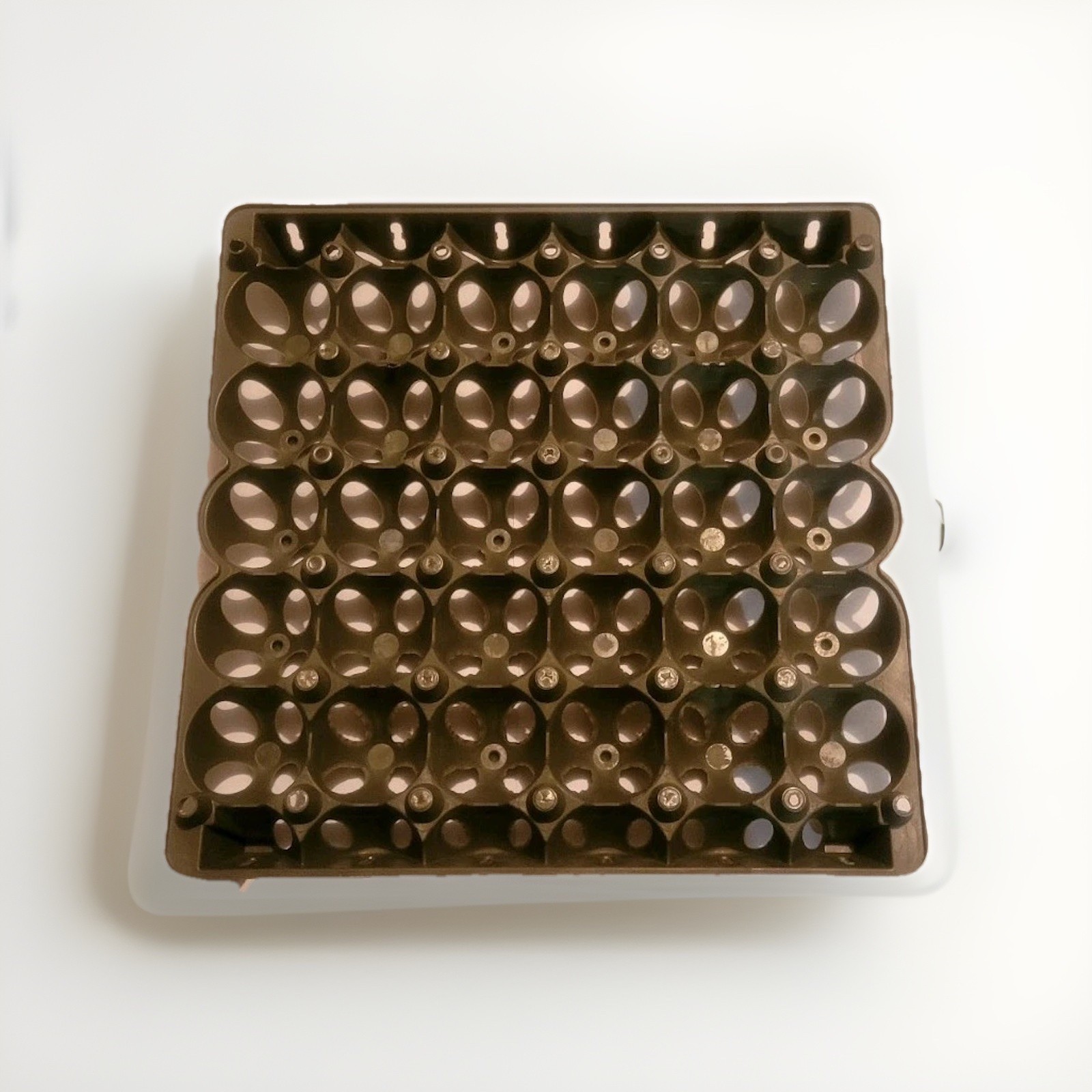 Incubator Tray for Chickens/Goose/Turkey 30Egg/ Charola Incubadora 30 Huevos