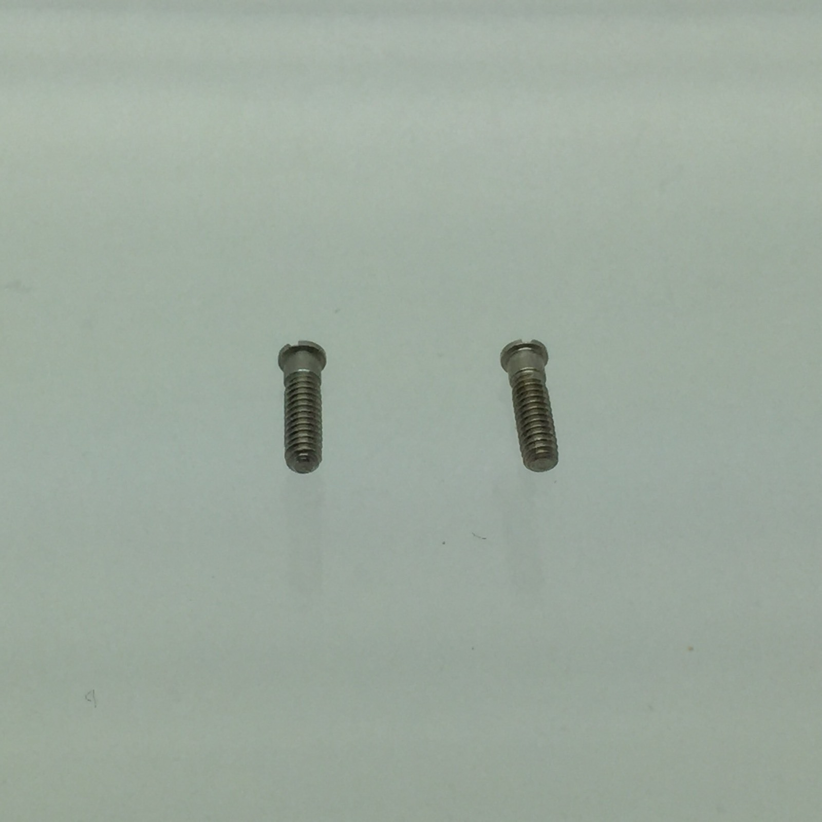 AUTHENTIC REPLACEMENT RAY-BAN RB 4101 TEMPLE/HINGE SCREWS PAIR NEW GENUINE