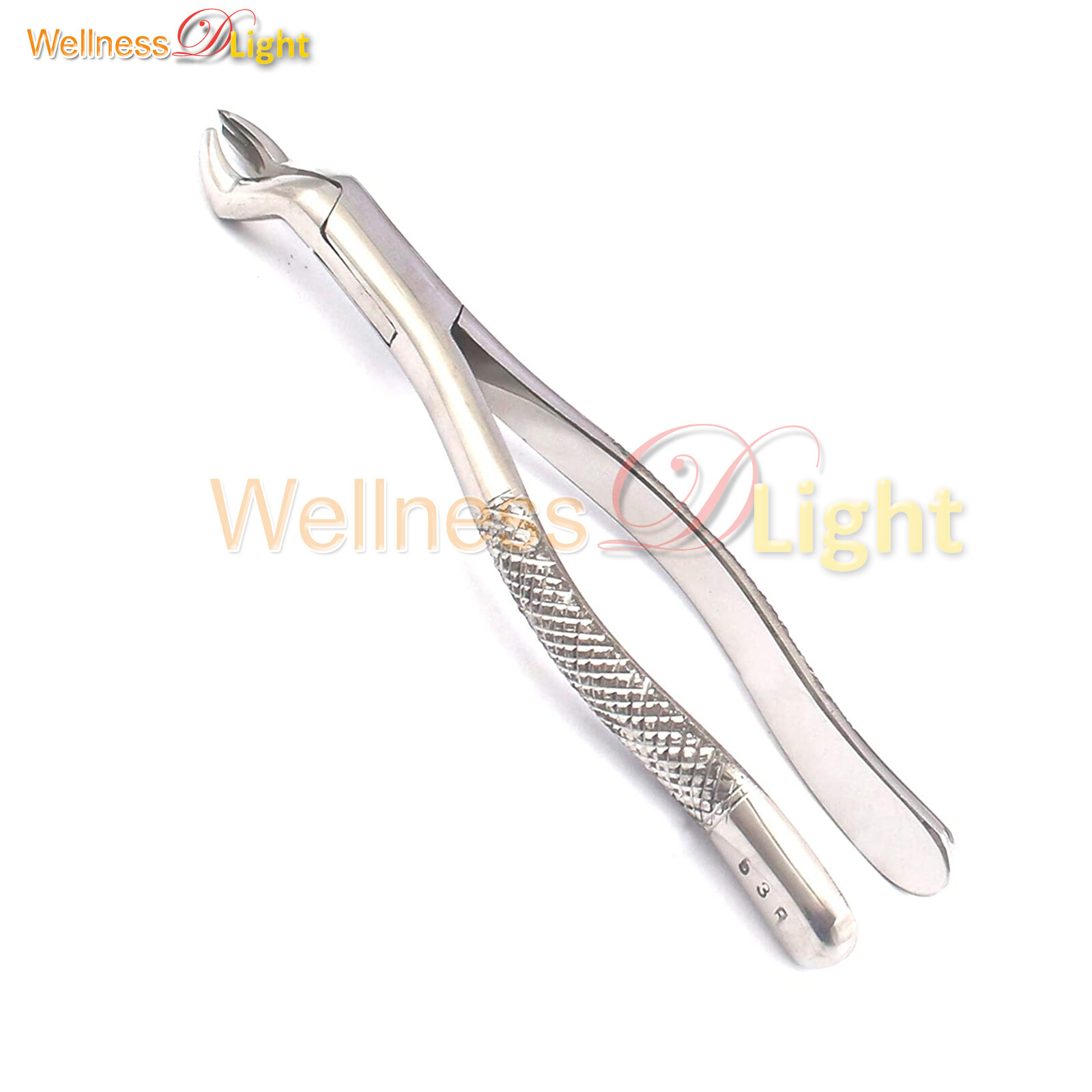 O.R GRADE PASSIVATED AUTOCLAVABLE DENTAL TOOTH EXTRACTING FORCEPS #53R